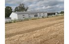 Property photo 49 - 80 Acres Offered in 4 Tracts - Horse Farm